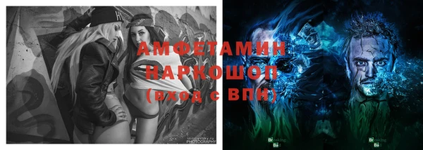 МДПВ Гусев