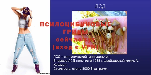 МДПВ Гусев