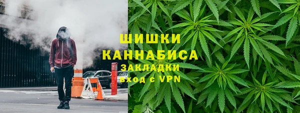 МДПВ Гусев