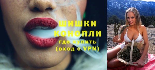 МДПВ Гусев