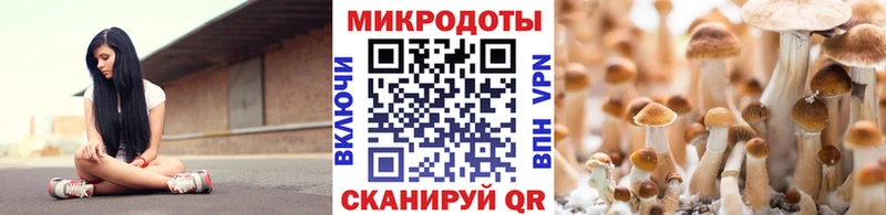 Купить закладки  Черняховск  Галлюциногенные грибы прущие грибы 